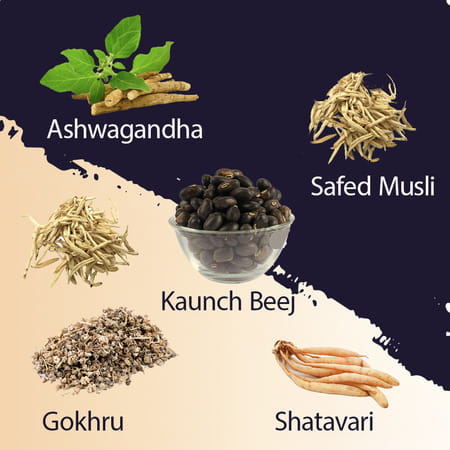 Pure Nutrition Shilajit Gold Capsules For Men | Strength | Stamina & Vigor - 30 Veg Capsules