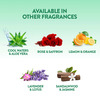 Air Wick Room Air Freshener Spray - Lavender & Lotus 245 Ml