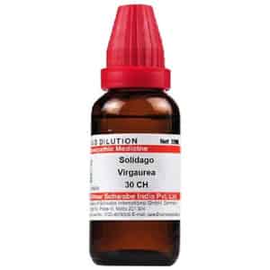 Dr. Willmar Schwabe India Solidago Virgaurea Dilution 30 Ch 30 Ml