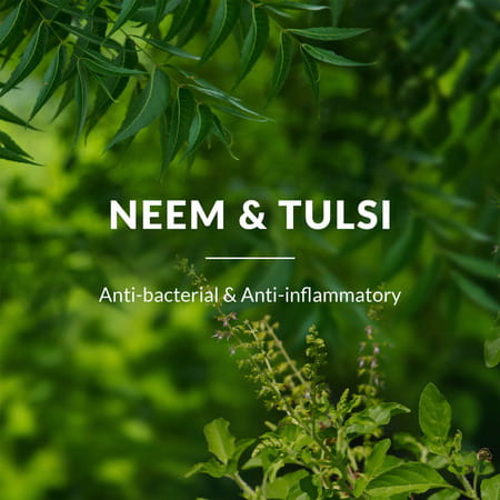 Lotus Botanicals Neem | Tulsi & Salicylic Acid Gentle Foaming Face Wash 120Ml