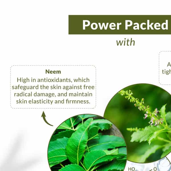 Lotus Botanicals Neem | Tulsi & Salicylic Acid Gentle Foaming Face Wash 120Ml