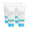 Pearldew Baby Cream 50 Gm | With Calendula & Milk Protein | Paraben Free (Pack Of 4)