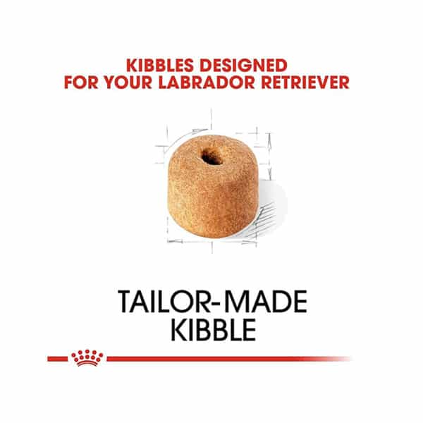 Royal Canin Labrador Retriever Adult Dog Food | 3 Kg | Dry Food