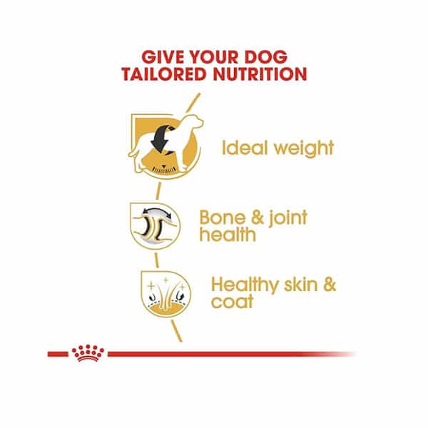 Royal Canin Labrador Retriever Adult Dog Food | 3 Kg | Dry Food