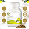 Four Seasons Gokshura Tablets, 60 Tabs | Boost Energy, Testosterone, Performance, Muscle, & Vigour