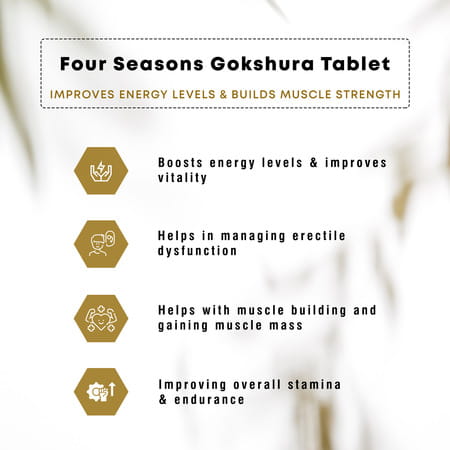 Four Seasons Gokshura Tablets, 60 Tabs | Boost Energy, Testosterone, Performance, Muscle, & Vigour
