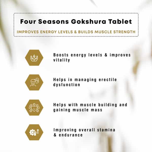 Four Seasons Gokshura Tablets, 60 Tabs | Boost Energy, Testosterone, Performance, Muscle, & Vigour