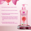 Vi-John Saffron Rose Fairnes Body Lotion For Men & Women 250Ml