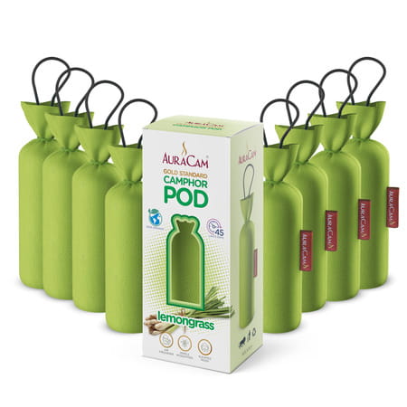 Auracam Gold Standard Camphor Pod Cone Lemongrass- Set Of 8