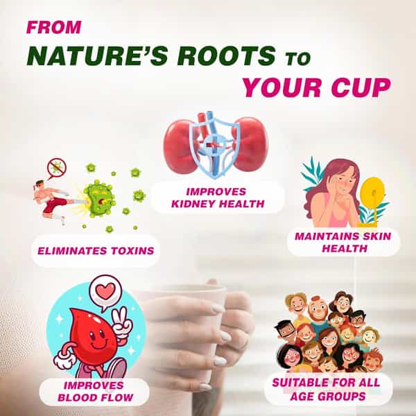 Jeena Sikho Kidney Healer Ayurvedic Tea | Natural Herbal Tea Kidney Support | 60 Sachets