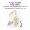 Skinfood Grape Seed Oil Body Wash - Skinfood Grape Seed Oil Body Wash 450 Ml