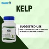 Healthvit Kelp 600 Mg - 60 Capsules