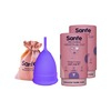 Sanfe Reusable Menstrual Cup With No Rashes Leakage Or Odor-Premium Design Large Size(Pack Of 2)