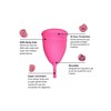 Sanfe Reusable Menstrual Cup With No Rashes Leakage Or Odor-Premium Design Large Size(Pack Of 2)