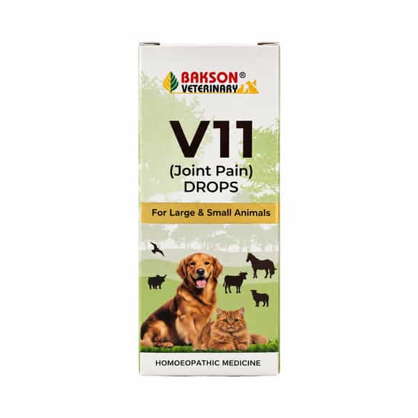 Bakson Homoeopathy V11 Drops | Rheumatism | For Veterinary Use | 30 Ml