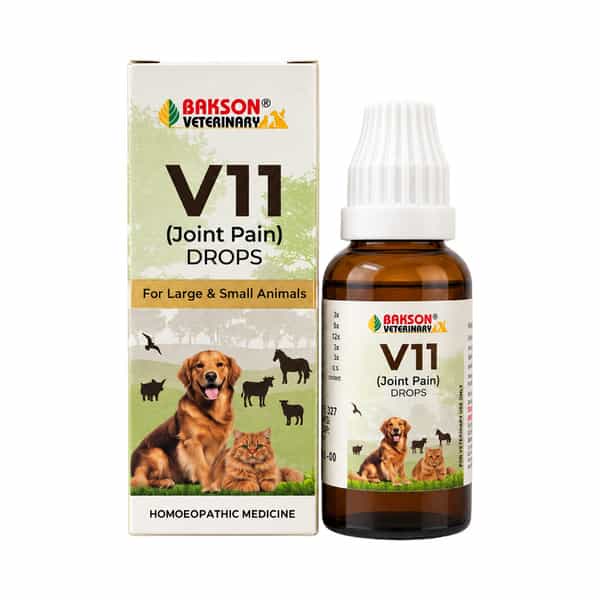 Bakson Homoeopathy V11 Drops | Rheumatism | For Veterinary Use | 30 Ml
