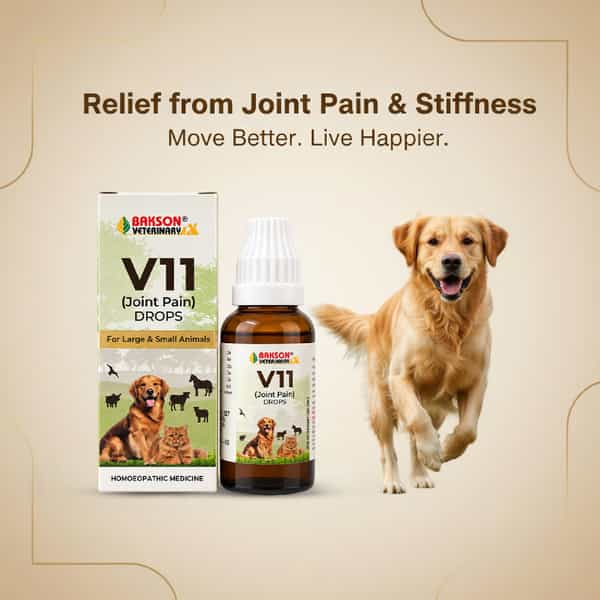 Bakson Homoeopathy V11 Drops | Rheumatism | For Veterinary Use | 30 Ml