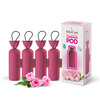 Auracam Gold Standard Camphor Pod | Camphor Cone (Rose) - Set Of 4