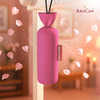 Auracam Gold Standard Camphor Pod | Camphor Cone (Rose) - Set Of 4