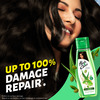 Hair & Care Damage Repair Non-Sticky Hair Oil With Aloe Vera Olive Oil & Green Tea 300 Ml