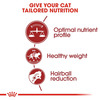 Royal Canin Fit 32 Adult Cat Food | 10 Kg | Dry Food | Supports Optimum Nutrient Profile