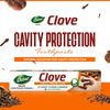 Dabur Herb'L Clove 200g Cavity Protection Toothpaste | No Added Fluoride & Parabens