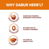 Dabur Herb'L Clove 200g Cavity Protection Toothpaste | No Added Fluoride & Parabens