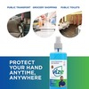 Vize Multiprotect Air Freshener Sanitizer Spray 500Ml