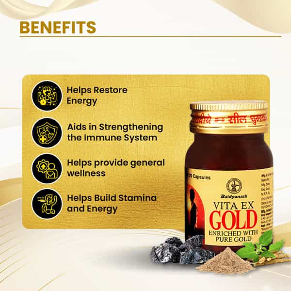 Baidyanath Ayurved Vita Ex Gold 20 Caps | Stamina & Vitality Booster