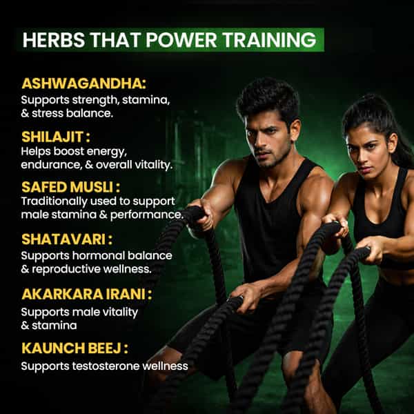 Sheopal's Te-Sto Booster Capsules - 9 Ayurvedic Herbs For Daily Strength Pack 2