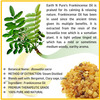 Earth N Pure Frankincense Oil 100% Pure And Natural Essential Oil - 250 Ml (8.4 Fl. Oz.) (250 Ml)
