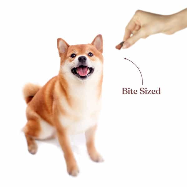 Snackers Mushroom And Lamb Bites Dog Treats | 200 G