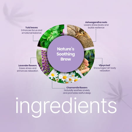 Boheco Calm Herbal Infusion Tea Bags | For Stress Relief With Vijaya Leaf | 20 Non-Plastic Bags 50gm