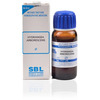 Sbl Hydrangea Arborescens Mother Tincture Q 30 Ml Pack Of 2