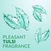 Dettol & Moms Bathing Soap Tulsi - 125Gm ( Buy 3 Get 1 )
