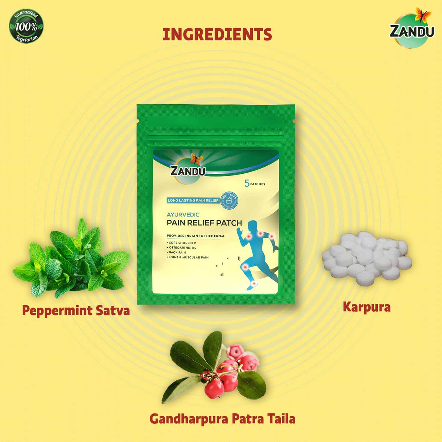 Buy ZANDU AYURVEDIC PAIN RELIEF PATCH (PACK OF 5 PATCHES) Online & Get