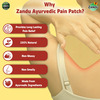 Zandu Ayurvedic Pain Relief Patch (Pack Of 5 Patches)