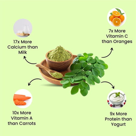 Vlado'S Himalayan Organics 100% Organic Certified Moringa Powder - 120+ Nutrients & Vitamins - 200g