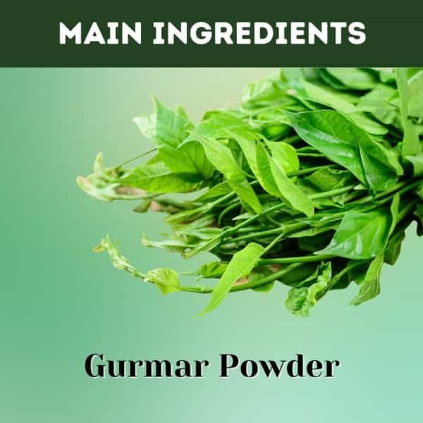 Ayurvedic Life Gurmar Powder - 1 Kg Value Pack Of 2