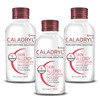Caladryl Skin Allergy Lotion For Rashes | Sunburn | Prickly Heat And Insect Bites- 125Ml (Pack Of 2)