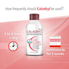 Caladryl Skin Allergy Lotion For Rashes | Sunburn | Prickly Heat And Insect Bites- 125Ml (Pack Of 2)