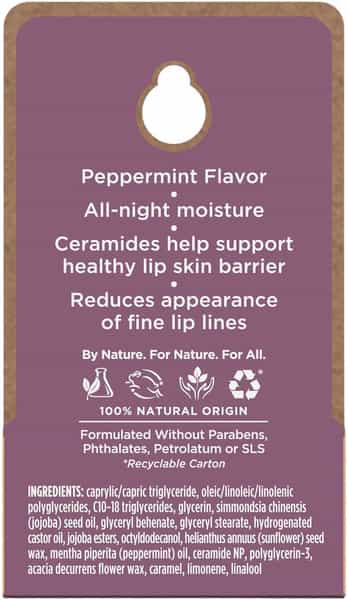 Burt's Bees Overnight Lip Treatment | Ultra-Conditioning | 7G