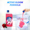 Lizol Floral Disinfectant Floor Cleaner Bottle Of 975 Ml