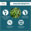 Bixa Botanical Hadjod Extract 60 Veg Capsules (450Mg) 2.5% 3-Keto Steroids-Supports Bone Healing