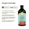 Kerala Ayurveda Balarishta 450 Ml