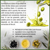 Earth N Pure Extra Virgin Olive Oil 100% Natural & Therapeutic Grade (50 Ml) (50 Ml)