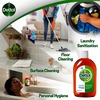 Dettol Antiseptic Disinfectant Liquid 250 Ml With Dettol Clinical Strength Hand Sanitizer 500 Ml
