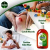 Dettol Antiseptic Disinfectant Liquid 250 Ml With Dettol Clinical Strength Hand Sanitizer 500 Ml