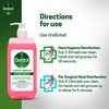 Dettol Antiseptic Disinfectant Liquid 250 Ml With Dettol Clinical Strength Hand Sanitizer 500 Ml