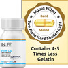 Inlife Fish Oil Capsule 60